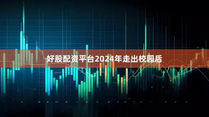 好股配资平台2024年走出校园后